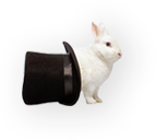 Rabbit in a hat
